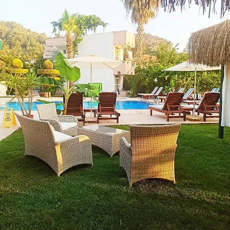 Motel Erol