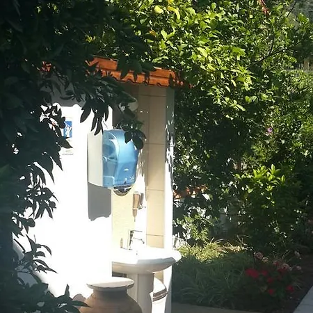 Erol * Orhaniye (Marmaris)