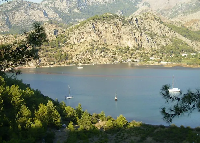 埃罗尔汽车旅馆 *