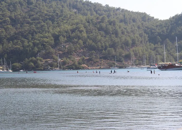 埃罗尔汽车旅馆 *