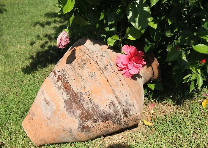 汽车旅馆 埃罗尔汽车旅馆