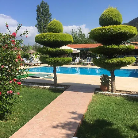 Erol * Орхание